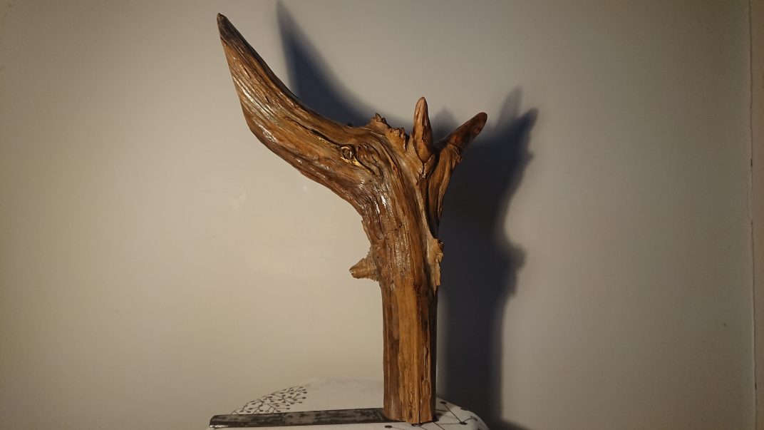 Sculpture nommée Œil de bois